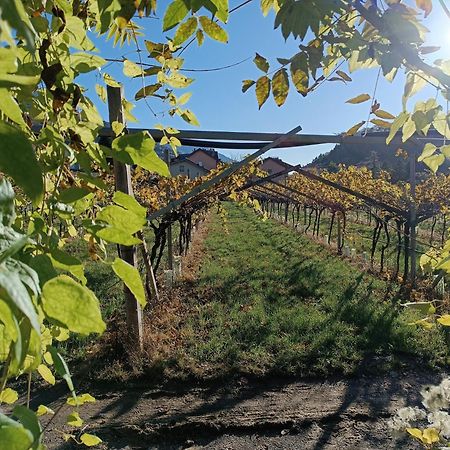 Appartamenti Moderni, Luminosi E Tranquilli Con Parcheggio Privato - Agritur La Tenuta Trento Luaran gambar