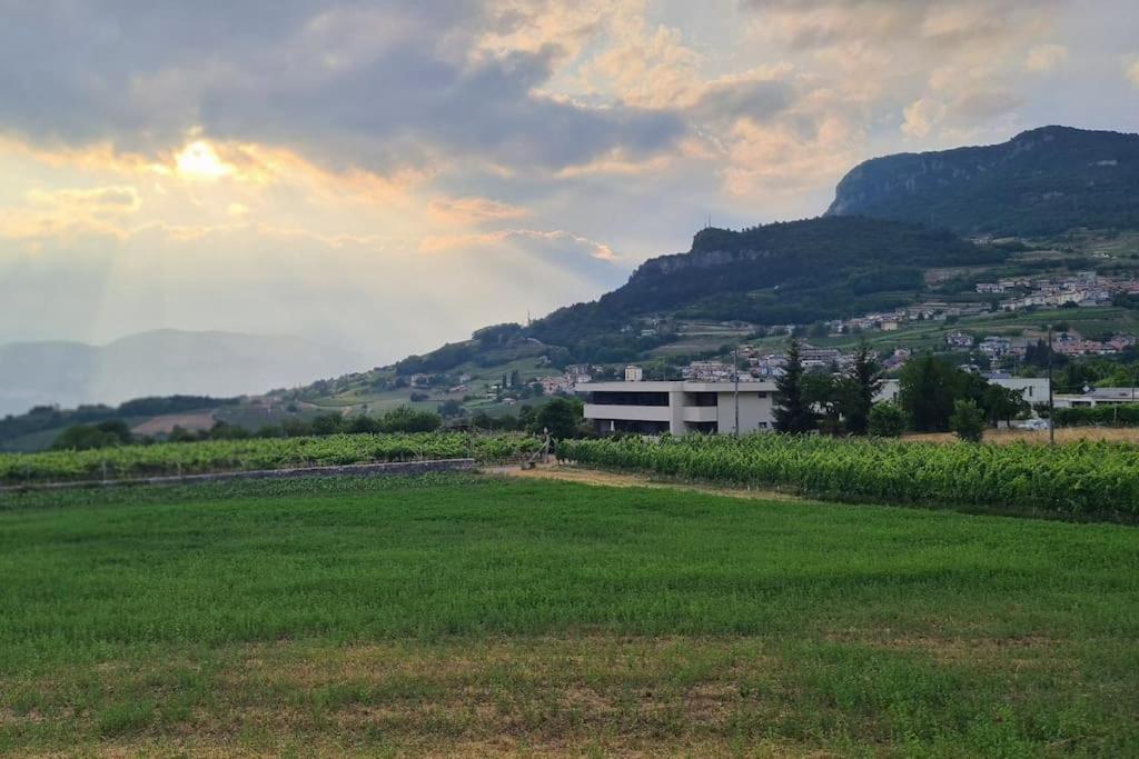 Appartamenti Moderni, Luminosi E Tranquilli Con Parcheggio Privato - Agritur La Tenuta Trento Luaran gambar