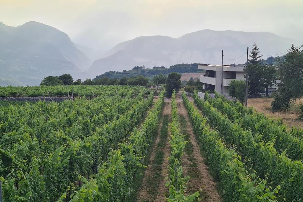 Appartamenti Moderni, Luminosi E Tranquilli Con Parcheggio Privato - Agritur La Tenuta Trento Luaran gambar