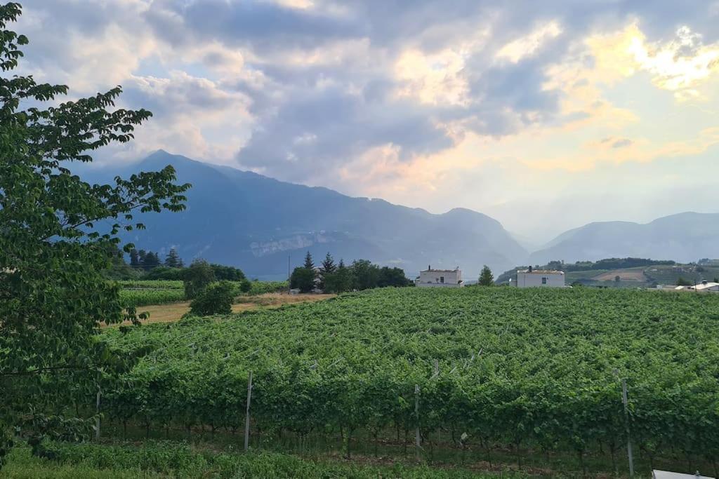 Appartamenti Moderni, Luminosi E Tranquilli Con Parcheggio Privato - Agritur La Tenuta Trento Luaran gambar