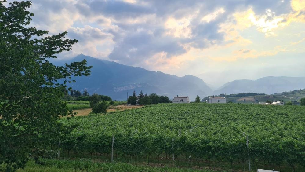 Appartamenti Moderni, Luminosi E Tranquilli Con Parcheggio Privato - Agritur La Tenuta Trento Luaran gambar