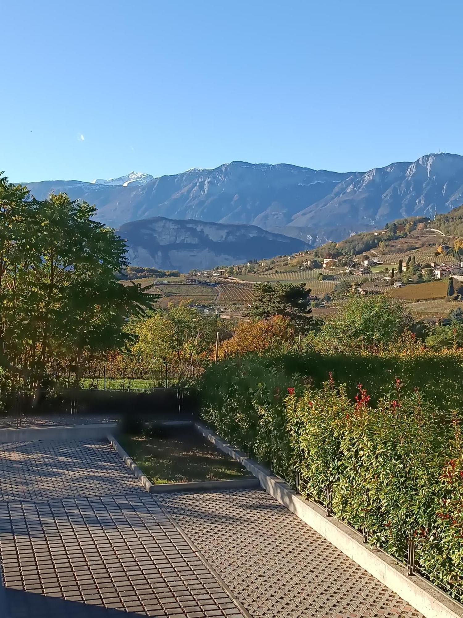 Appartamenti Moderni, Luminosi E Tranquilli Con Parcheggio Privato - Agritur La Tenuta Trento Luaran gambar